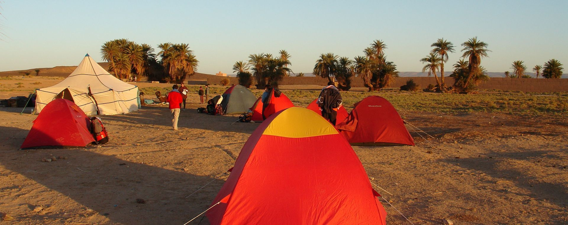 Campement de tentes au bord de l'oasis - Maroc