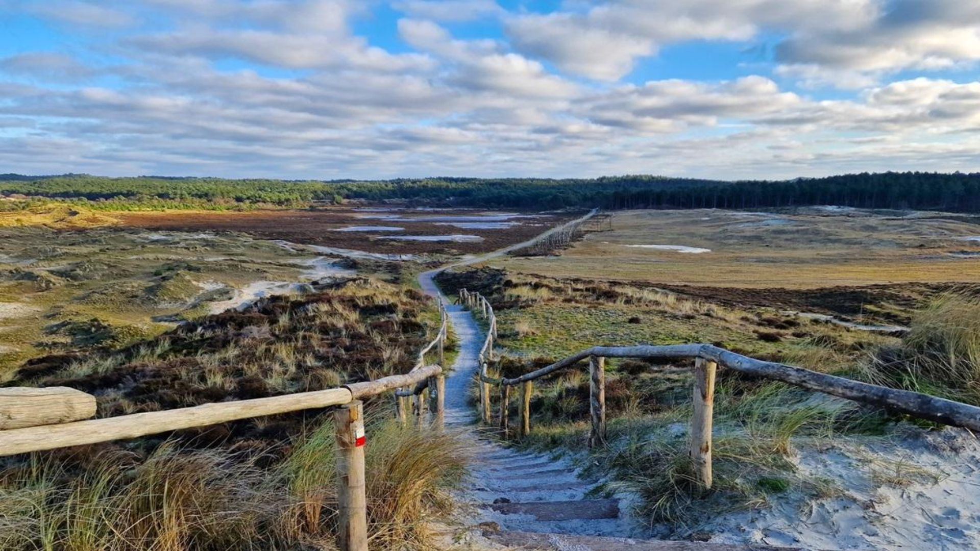 Passerelle dans les dunes de Schoorl - Hollande-Septentrionale - Pays-Bas