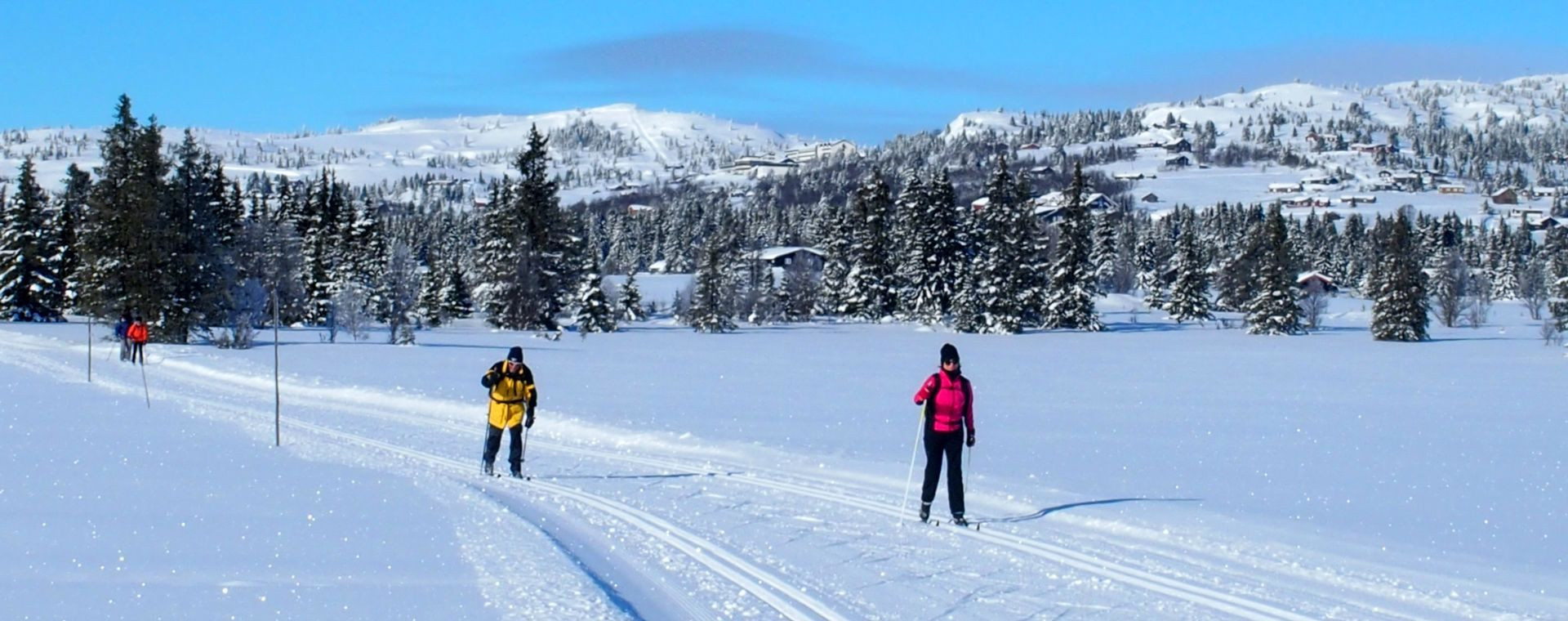 Ski de fond classique à Golsfjellet - Norvège