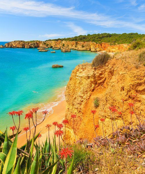 Falaises et plage de Praia da Rocha - Algarve - Portugal