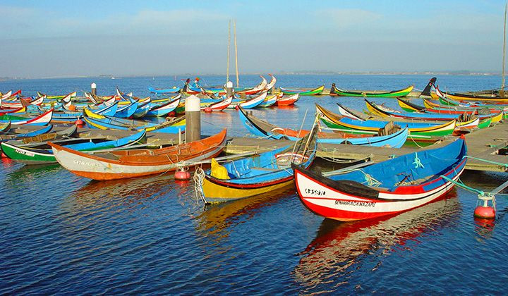 Barques de pêche colorées - Côte atlantique - Portugal