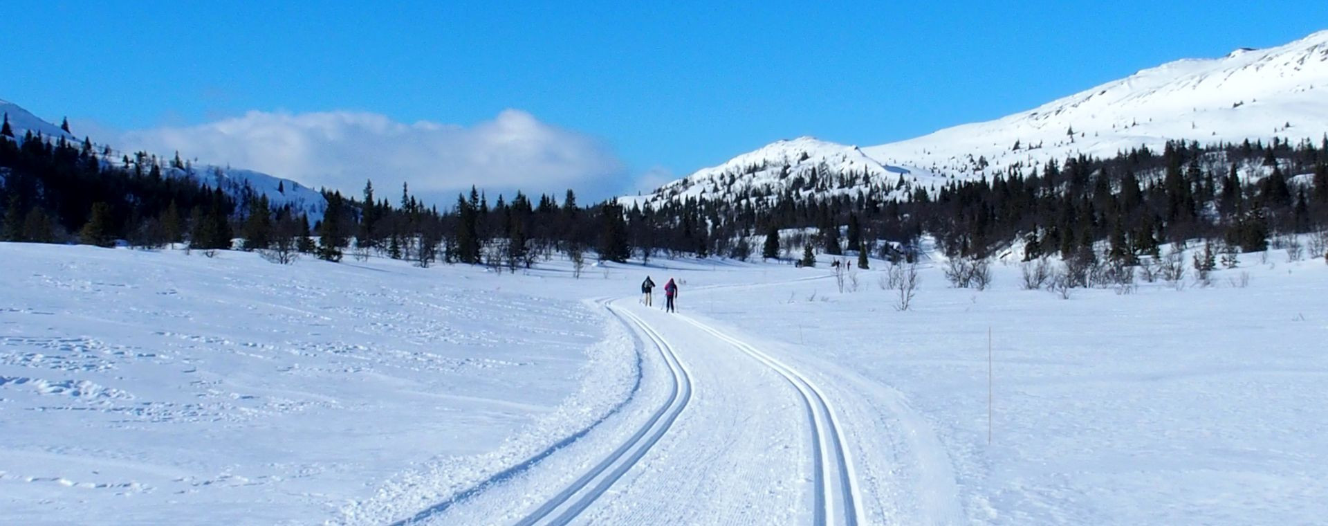 Ski de fond à Venabu - Norvège
