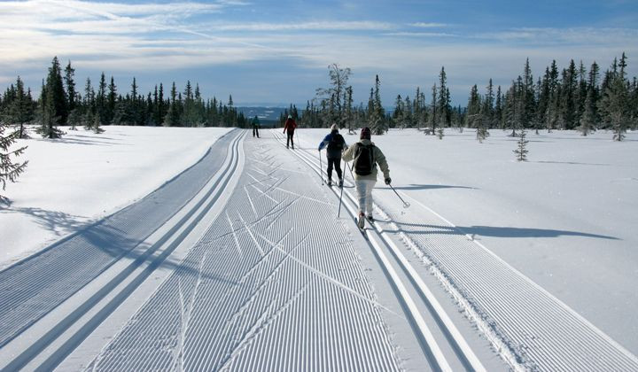 Ski de fond à Sjusjøen - Norvège
