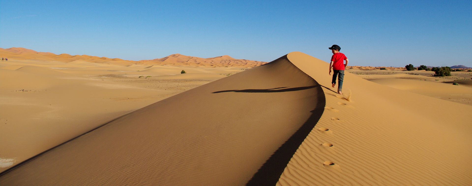 Enfant Dune Desert Sud Marocain