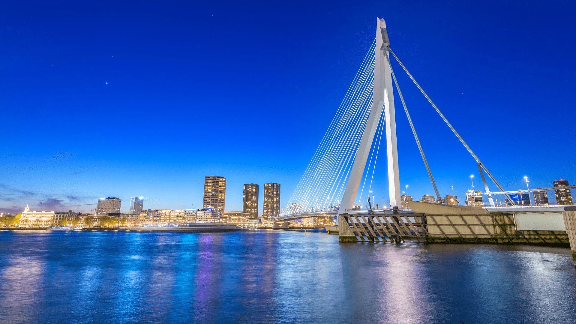 Le pont Érasme au crépuscule - Rotterdam - Pays-Bas