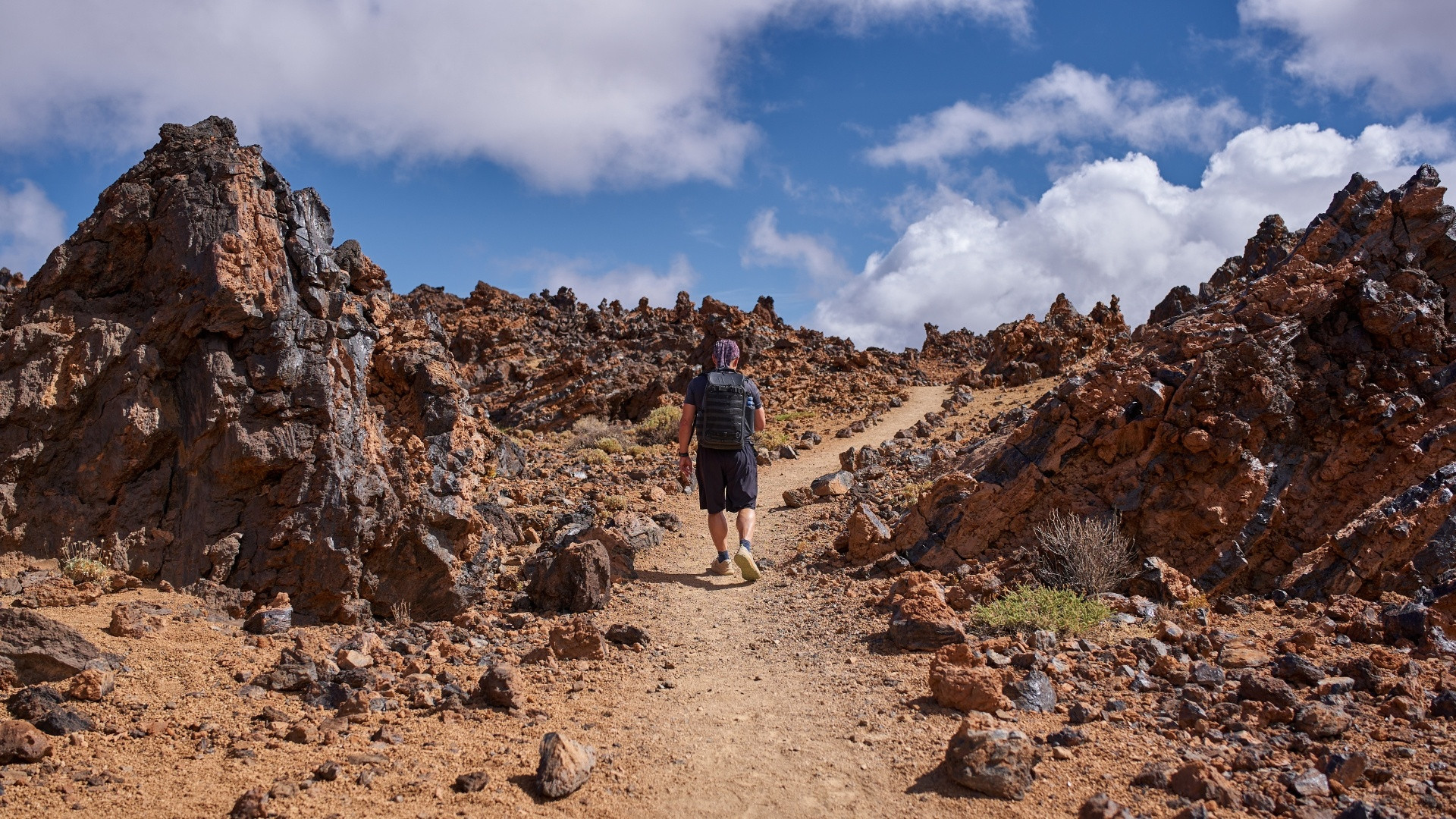© Slatan ESPLP0003 Espagne Îles Canaries Ténérife Teide @Slatan Canva (3)
