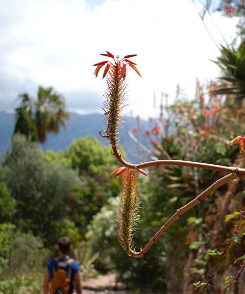 © Giovanna Crippa GR221-Serra Tramontana