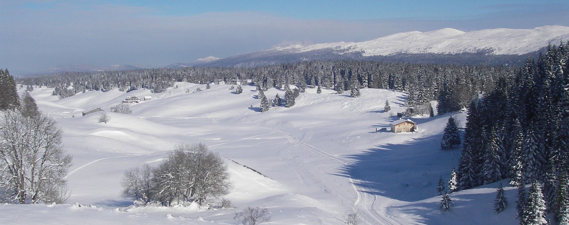Plateau enneigé et forêts en hiver - Jura - France
