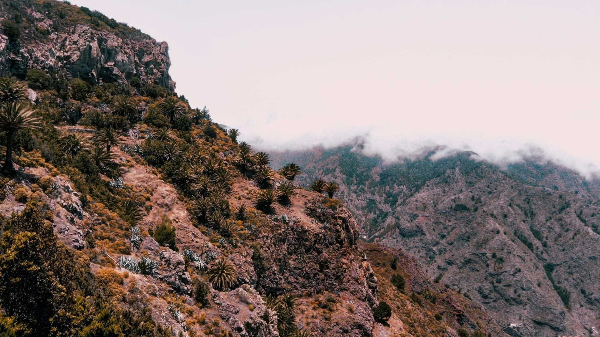 © Unsplash Montage Claudia Manas Unsplash - Espagne