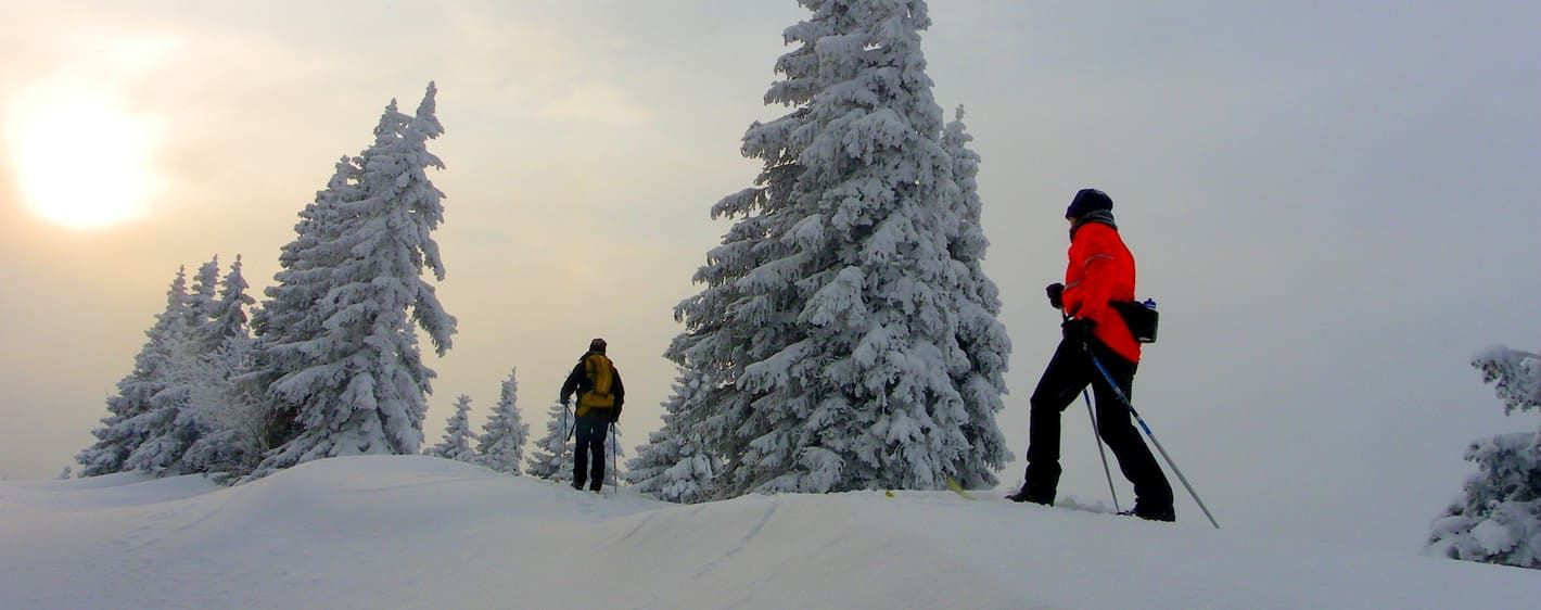 Ski de randonnée nordique sur les crêtes du Jura - Jura - France