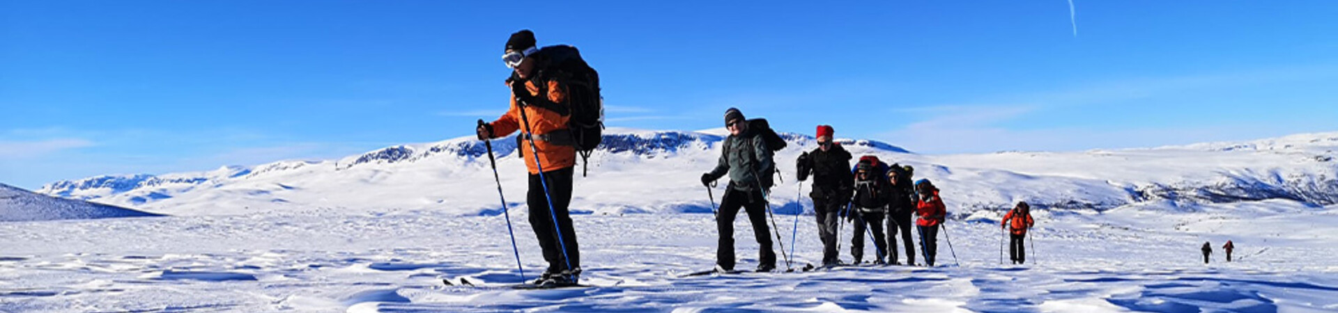 Ski de randonnée nordique sur le plateau - Parc national de Hardangervidda - Norvège