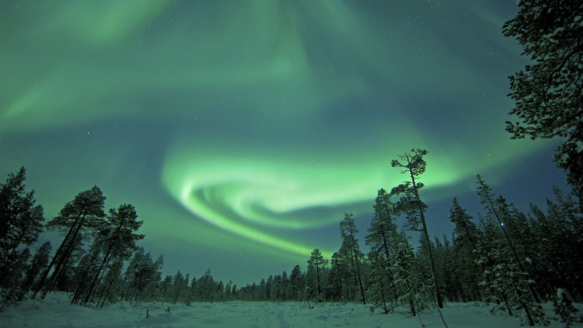 Reizen en georganiseerde reizen naar het noorderlicht – het hoge noorden en Lapland