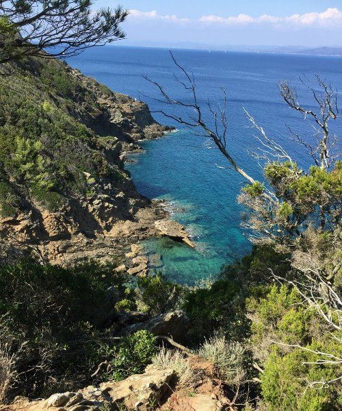 Île de Port-Cros - Var - France