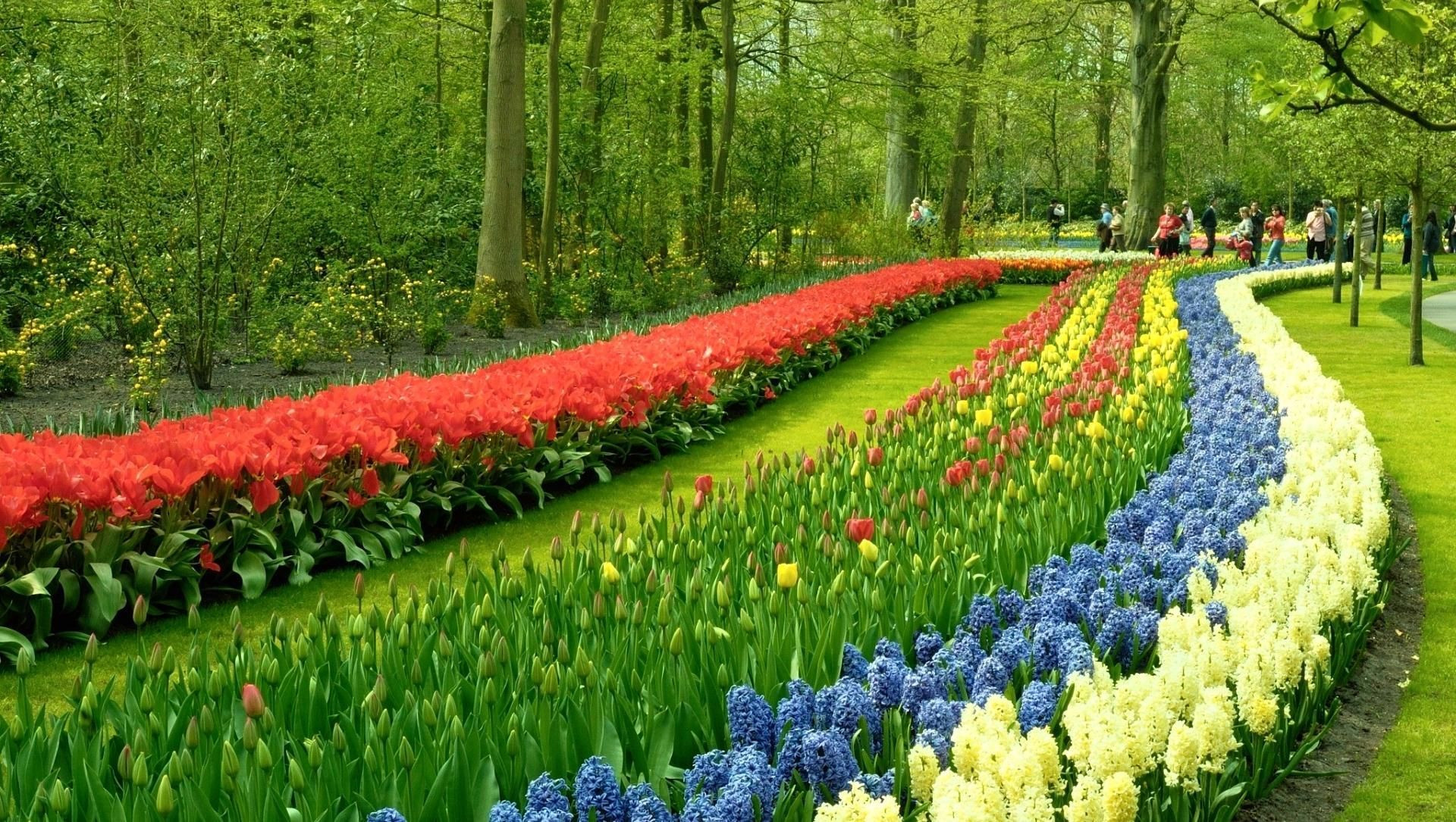 Rivière de fleurs - Parc floral de Keukenhof - Lisse - Pays-Bas