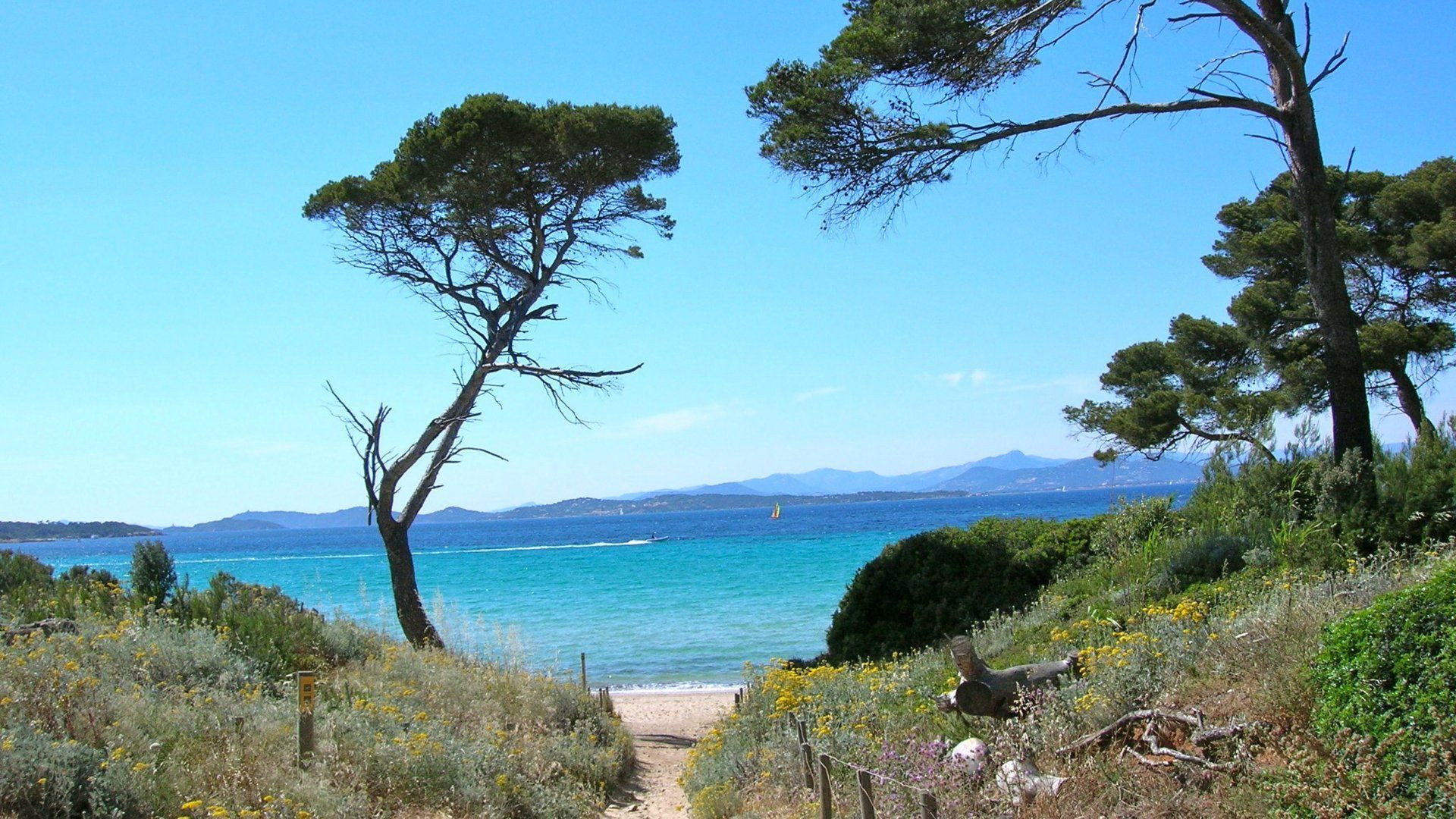 Côte rocheuse de l'île de Porquerolles - Var - France