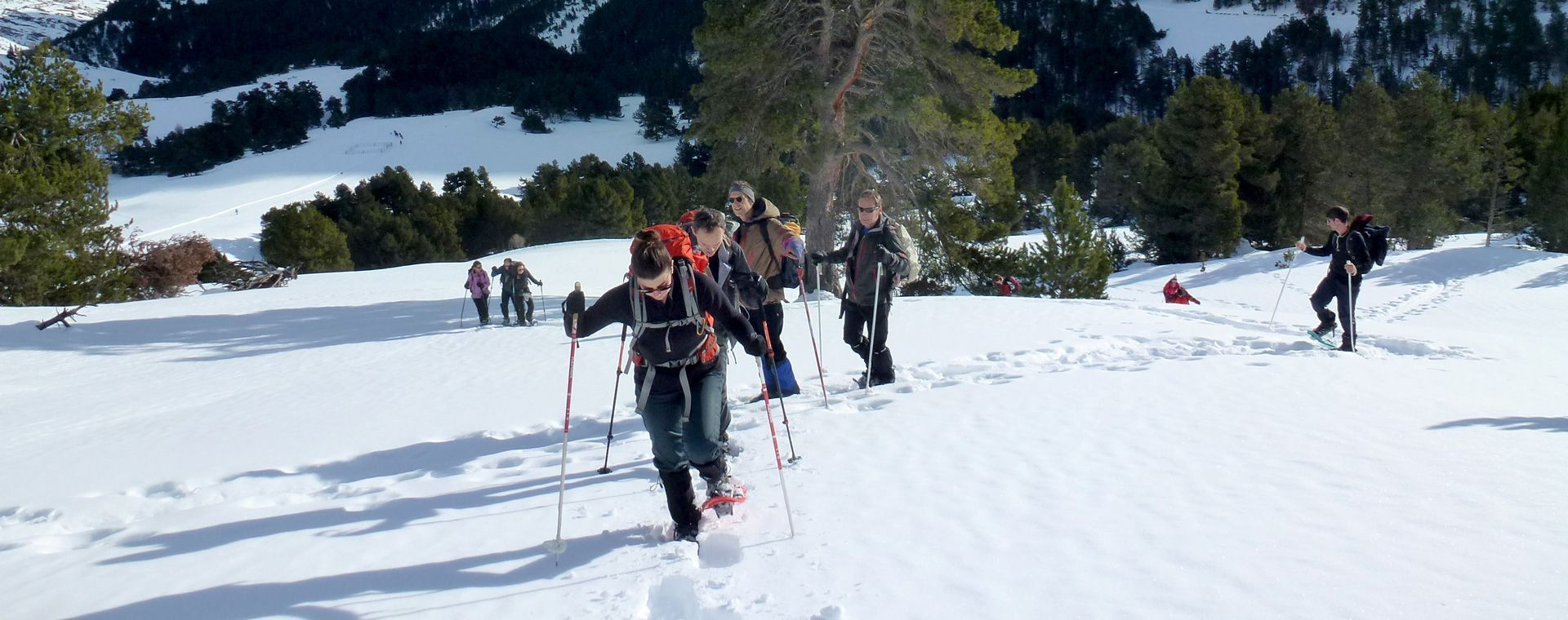 Groupe en randonnée raquettes - Val d'Aran - Pyrénées - Espagne
