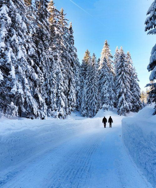 Randonneurs en raquettes sur une route enneigée - Seefeld-Wildmoos - Tyrol, Autriche