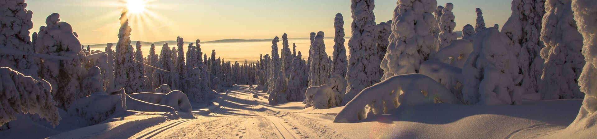Langlaufen en toerskiën in Lapland in 2026