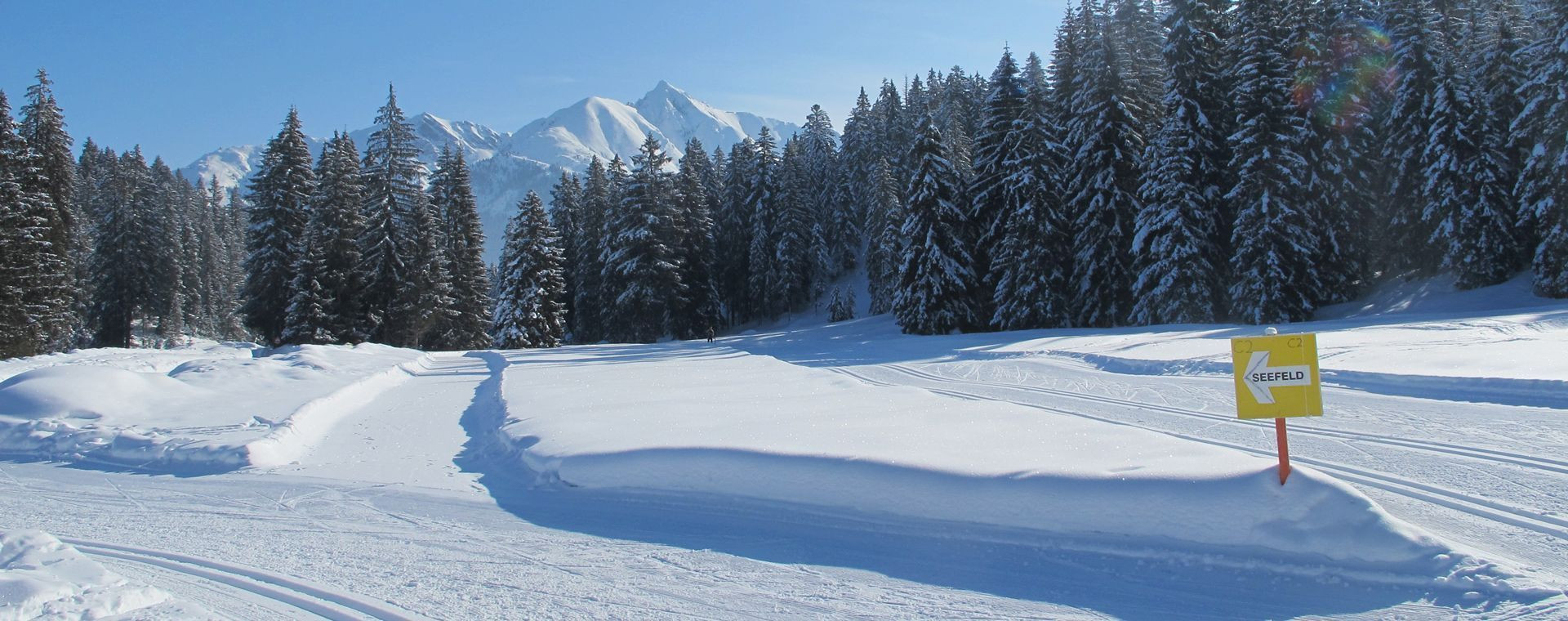 Paysage enneigé du domaine skiable de Leutasch - Tyrol - Autriche