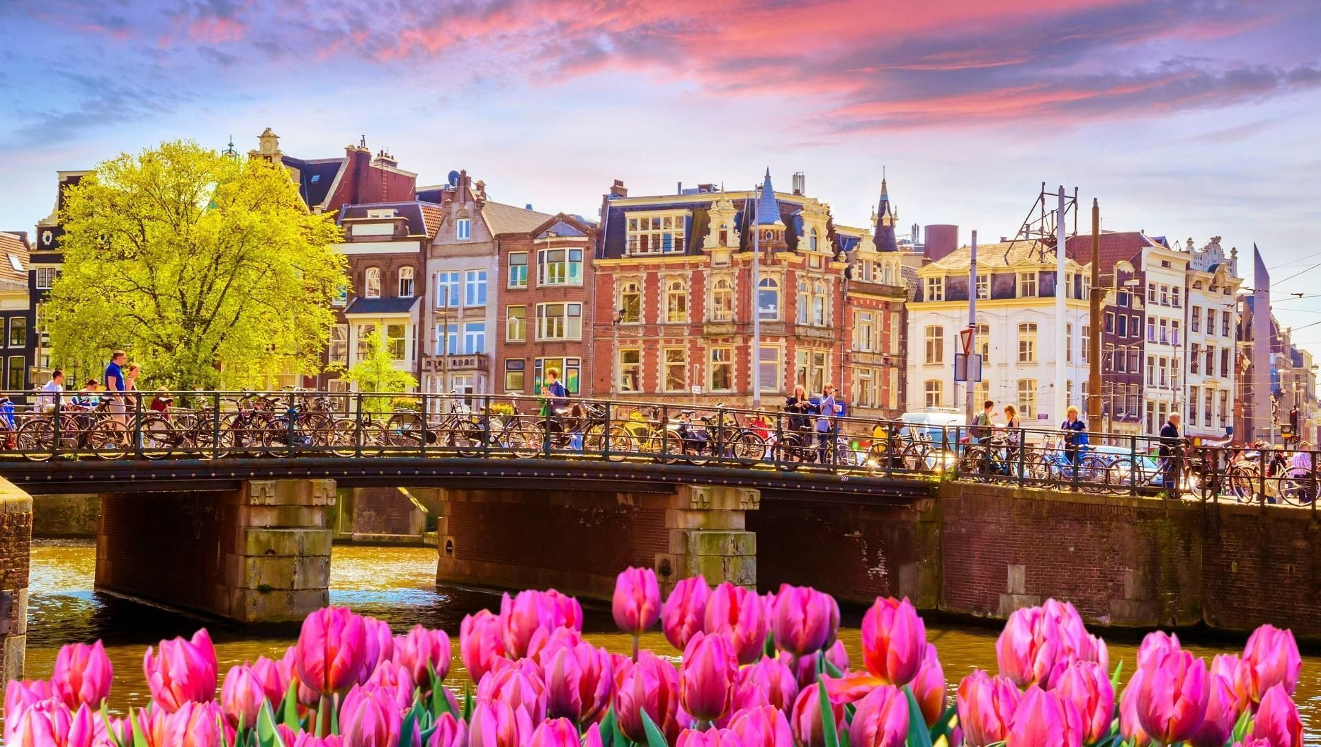 © Adobe Stock Tulipes au bord d'un canal - Amsterdam - Pays-Bas
