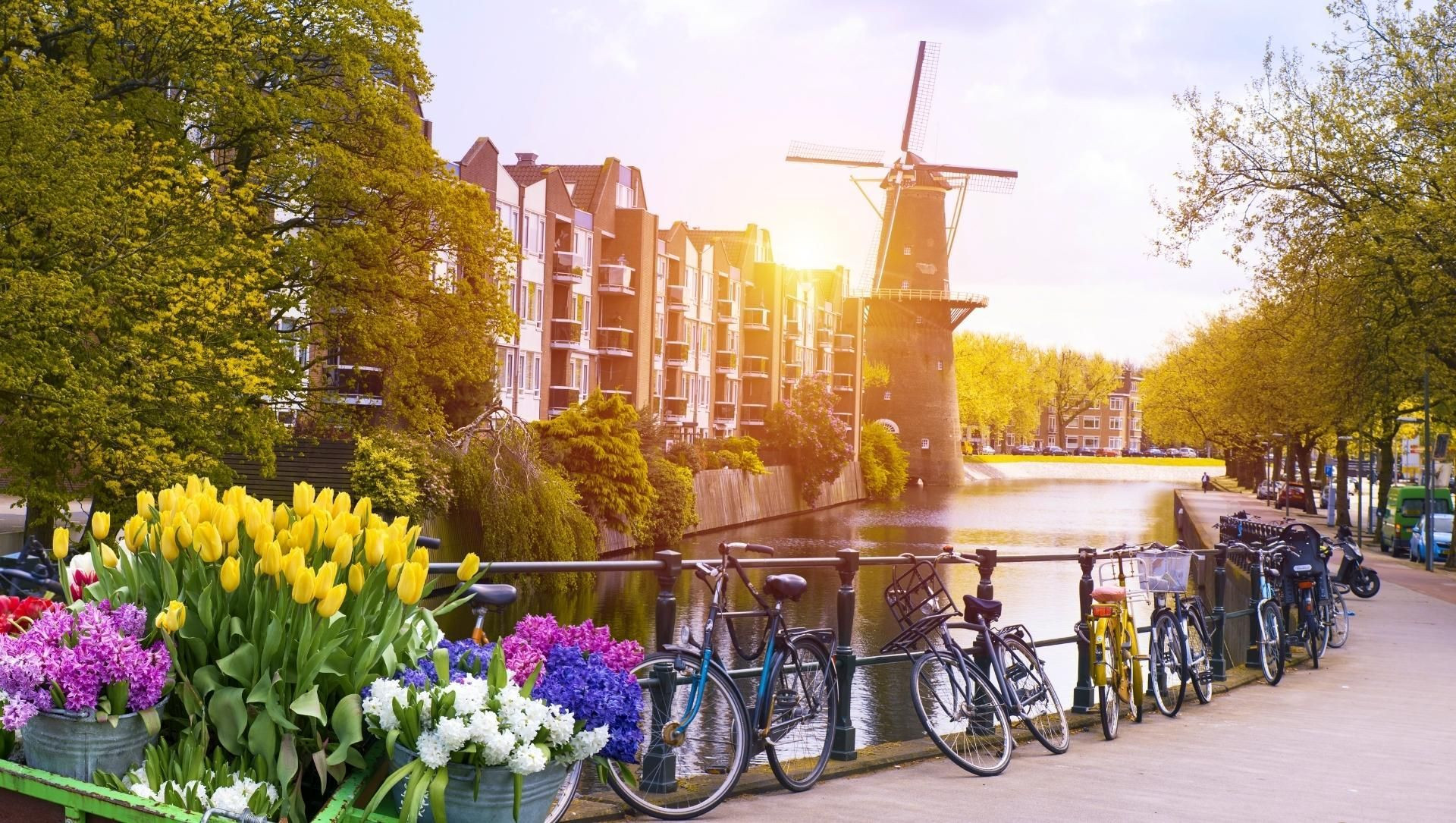 © Adobe Stock Tulipes, vélos et moulin au bord d'un canal - Amsterdam - Pays-Bas