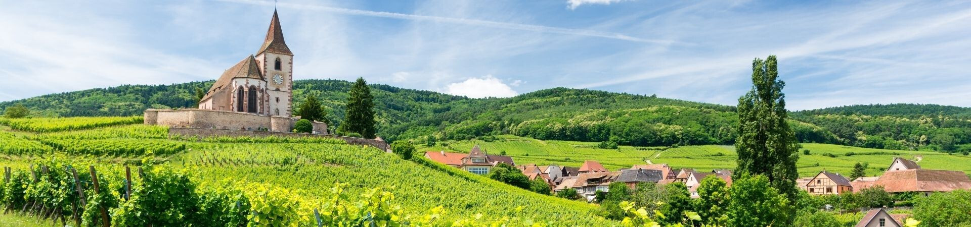 Wandeltochten in de Elzas