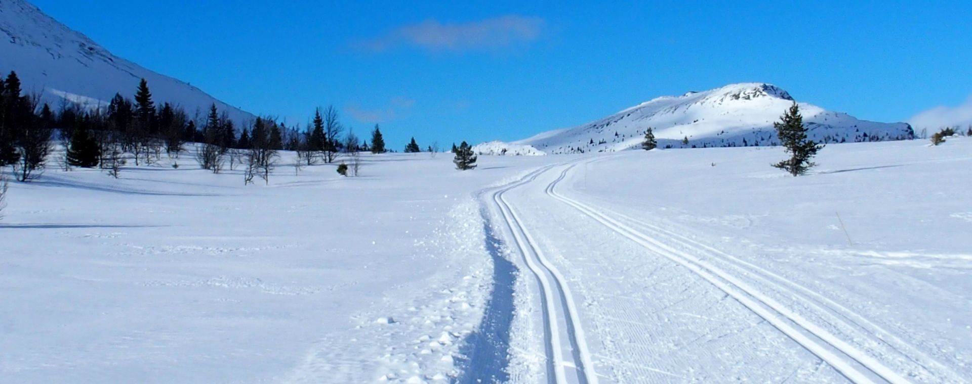 Paysage hivernal à Venabu - Norvège