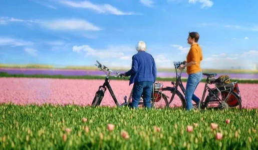 Holland en zijn tulpen, dat is Magnifique!