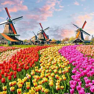 Tulpencruise door Nederland aan boord van de Fluvius